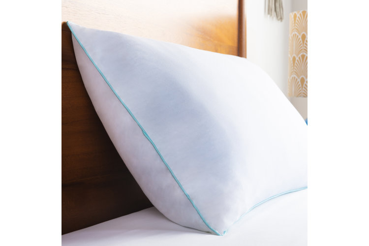 Top 15 Bed Pillows in 2023 Wayfair